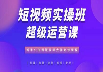 短视频运营从入门到精通：新手必修课程-无双副业