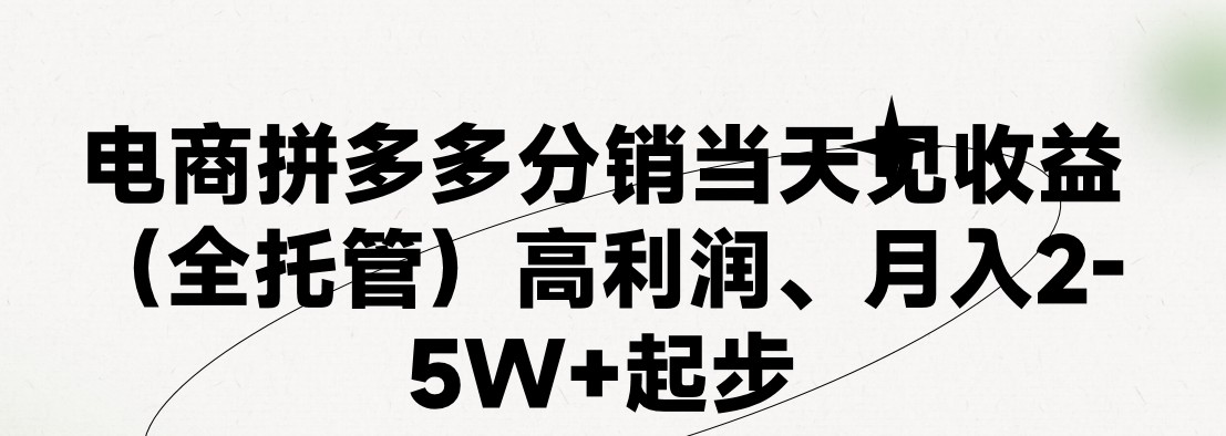 拼多多无风险代运营模式，日入4K+，小白轻松上手-无双副业