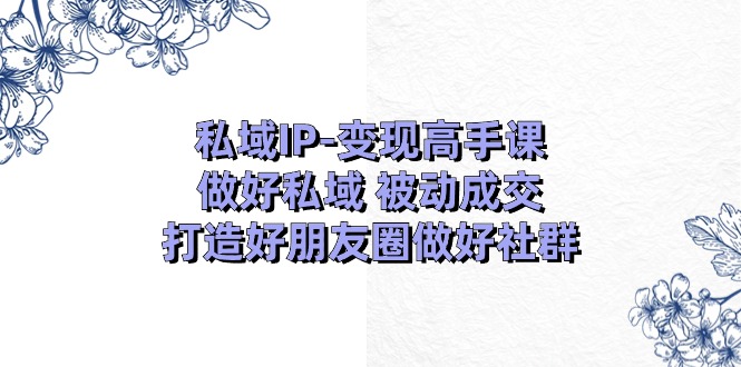 私域IP变现高手课：打造朋友圈与社群被动成交-无双副业