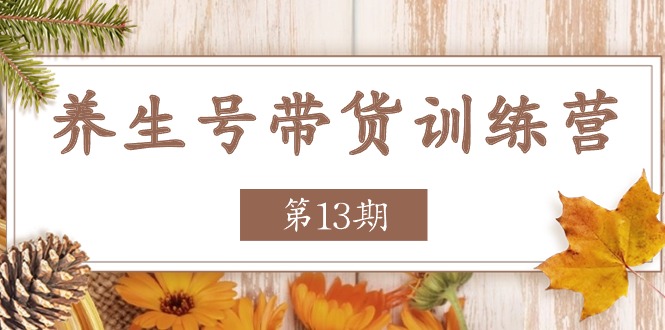 养生号带货训练营：稳定收益与爆款策略-无双副业