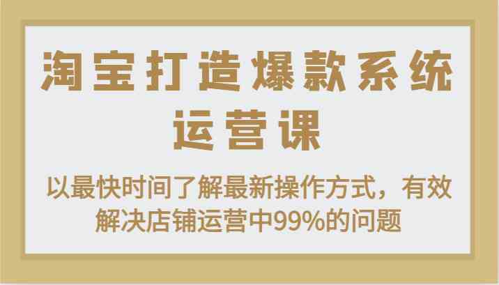 淘宝爆款运营系统课程，快速掌握店铺运营技巧-无双副业