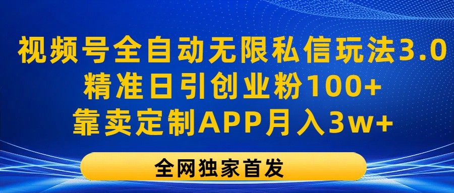 视频号全自动私信玩法3.0，精准引流创业粉月入3万+-无双副业