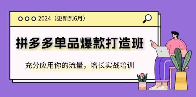 2024拼多多爆款打造实战培训，流量增长与运营技巧-无双副业