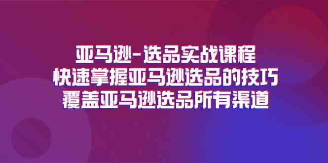亚马逊选品实战课程：掌握选品技巧与渠道-无双副业