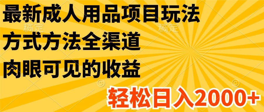 全渠道成人用品项目玩法，轻松实现日入2000+-无双副业