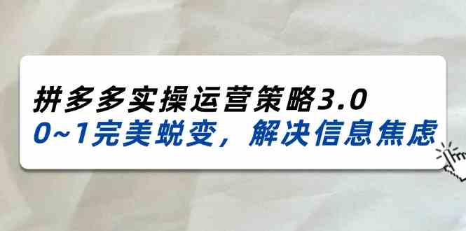 2024-2025拼多多运营策略3.0，从0到1完美蜕变-无双副业