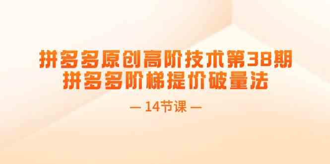 拼多多阶梯提价破量法实战课程-无双副业