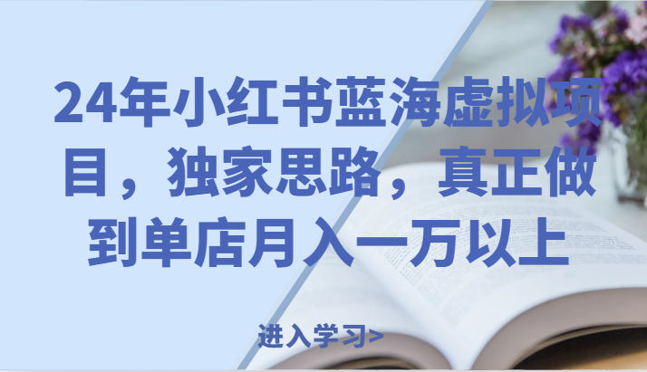 小红书虚拟店铺月入过万独家运营思路-无双副业