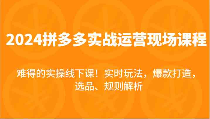 2024拼多多实战运营课：选品、爆款打造与规则解析-无双副业