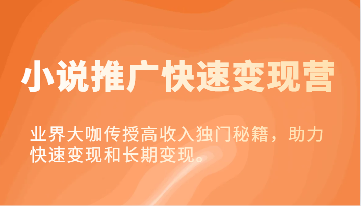 小说推广变现营：大咖传授高收入秘籍，快速实现长期收益-无双副业