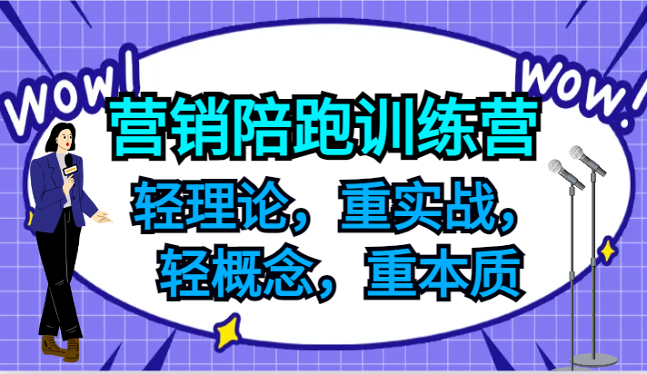 营销陪跑训练营：实战导向，助力中小企业与初创企业成长-无双副业