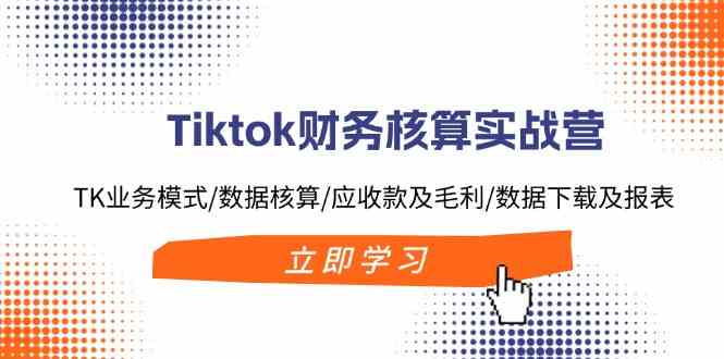 Tiktok财务核算实战：业务模式与数据报表解析-无双副业