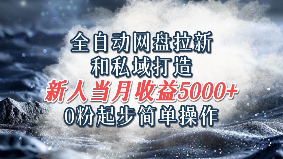 全自动网盘拉新与私域运营，新手轻松月入5000+-无双副业