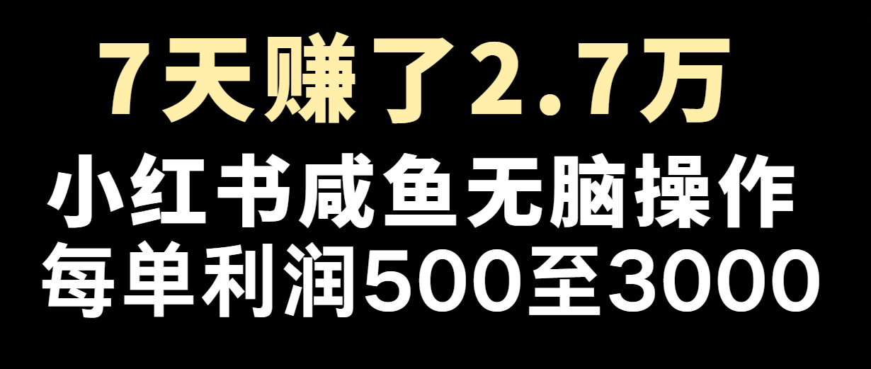 轻松月入5万+，每单利润500+的赚钱项目-无双副业