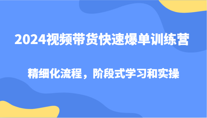 2024视频带货爆单训练营：系统化学习与实操指南-无双副业