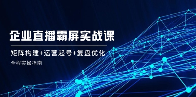 企业直播矩阵构建与运营优化全程实操指南-无双副业
