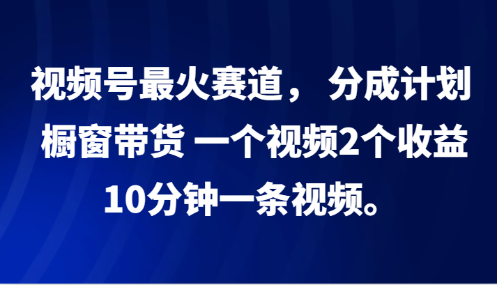 视频号热门赛道：分成计划与橱窗带货双收益-无双副业