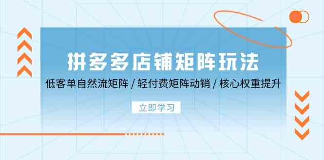 拼多多店铺矩阵动销策略与核心权重提升指南-无双副业