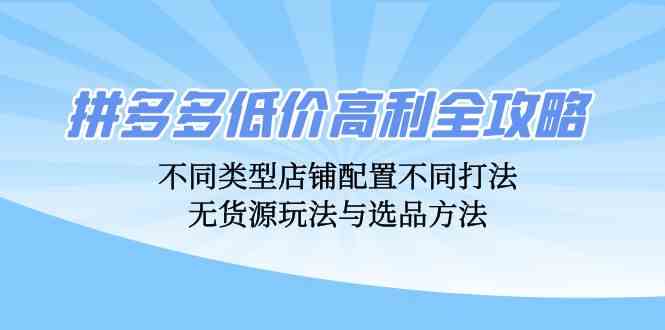 拼多多店铺运营与选品策略全解析，实现低价高利-无双副业