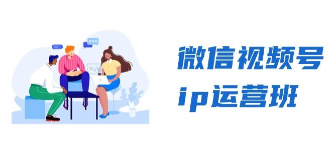 微信视频号IP运营与变现全攻略：从基础到精英分享-无双副业