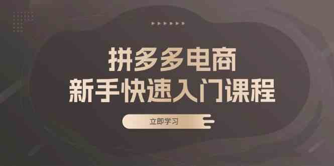 拼多多电商新手入门指南：基础操作与选款技巧-无双副业