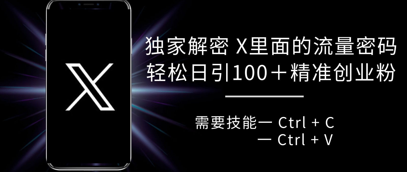 揭秘X平台流量密码，轻松日引100+精准粉丝-无双副业