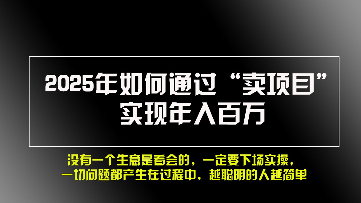 通过“卖项目”实现年入百万的实战策略-无双副业