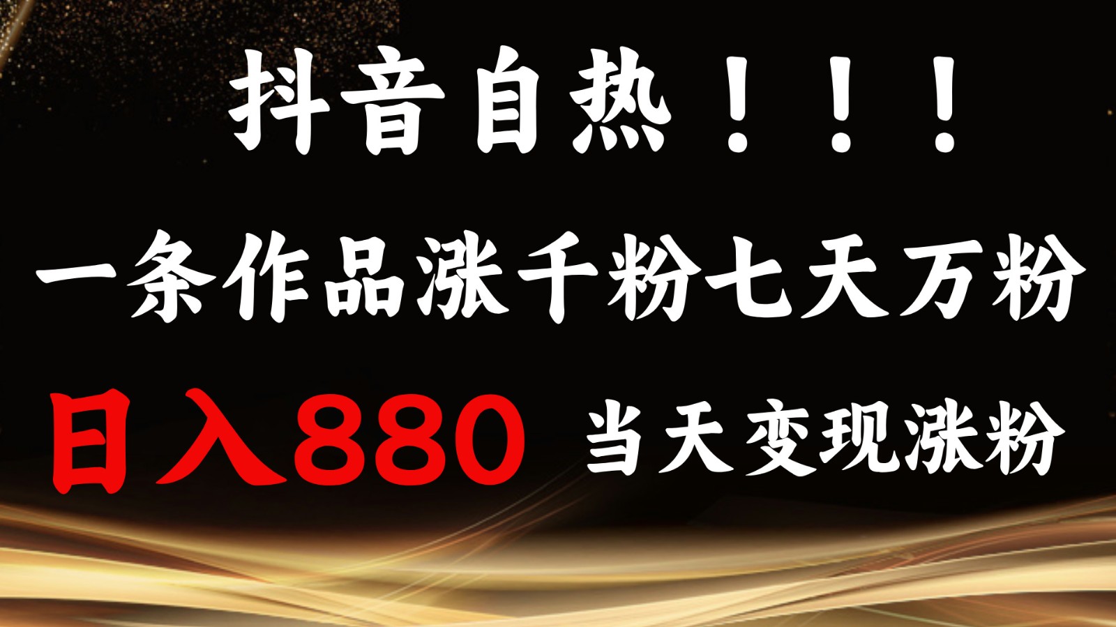 抖音小红书快速涨粉变现技巧，单日收益880元-无双副业