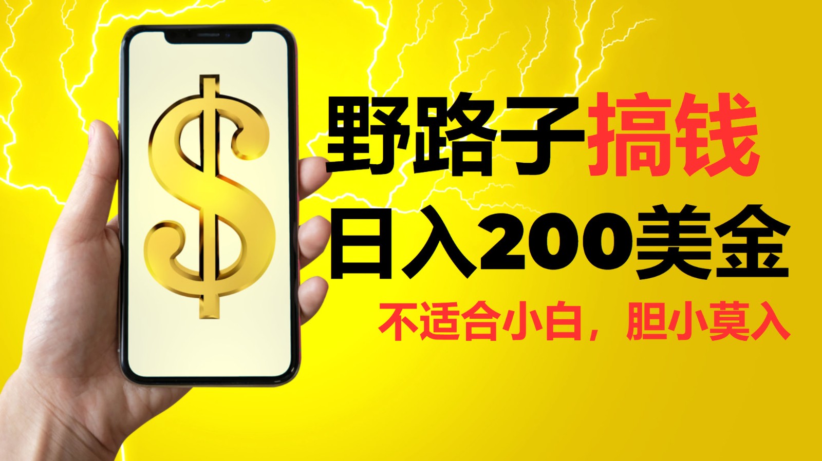外网挂机项目稳定收益高，日入200美金-无双副业