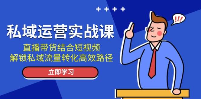 直播带货与短视频结合，高效转化私域流量实战指南-无双副业