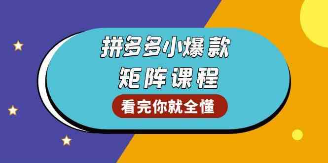 拼多多爆款矩阵课程：测爆款、优化销量、提升GMV、打造爆款群-无双副业