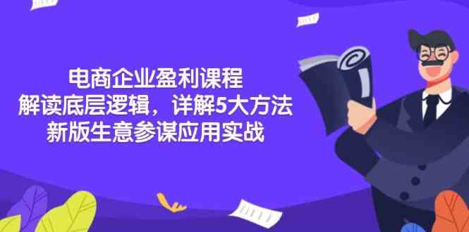 电商企业盈利课程：底层逻辑与5大方法论实战-无双副业