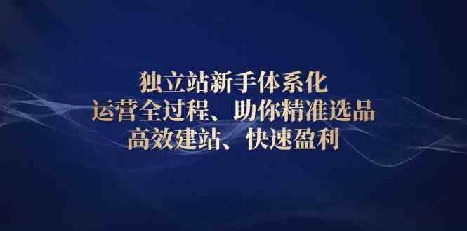独立站运营全流程指南：从选品到盈利的完整策略-无双副业