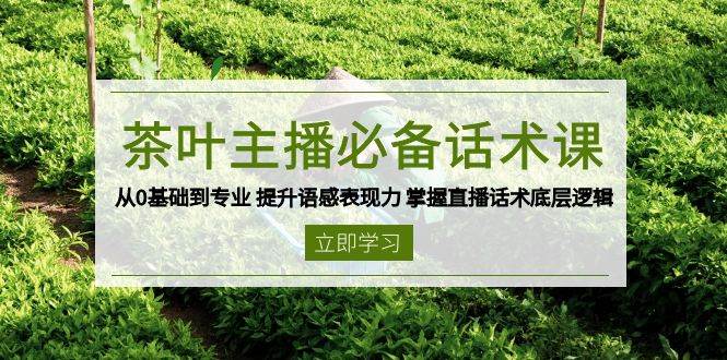 茶叶主播话术提升指南 从0基础到专业掌握直播技巧-无双副业