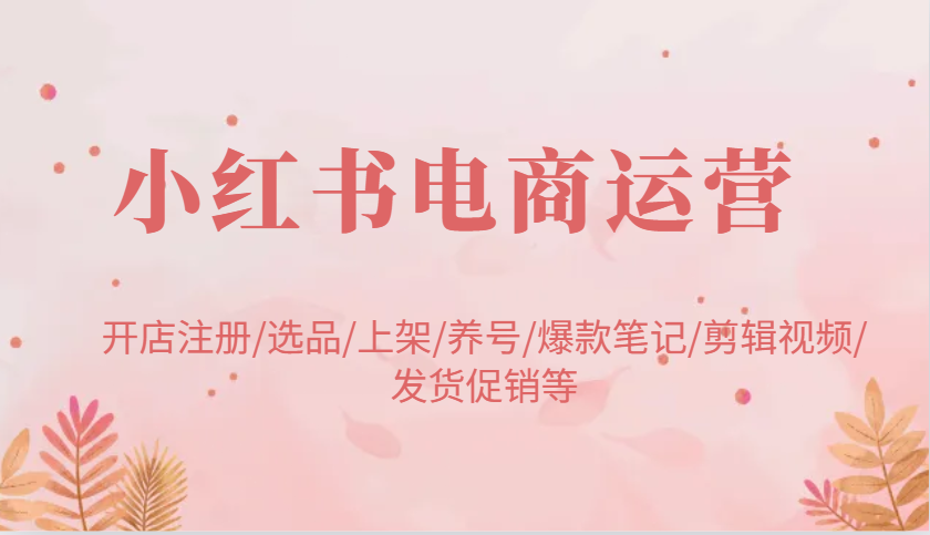 小红书电商运营全攻略：从开店到爆款笔记-无双副业
