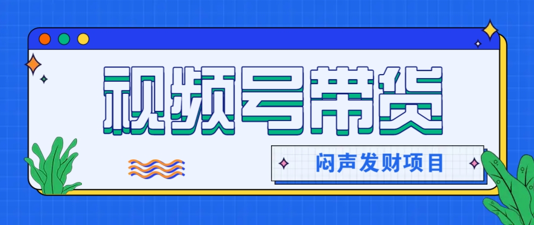 微信视频号带货赚钱技巧，轻松月入2000+-无双副业