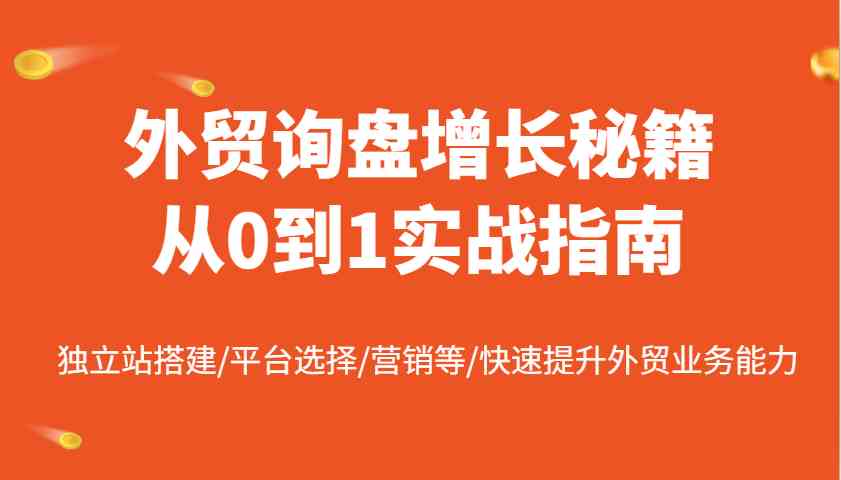 外贸询盘增长实战指南：独立站搭建与营销策略-无双副业