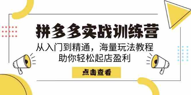 拼多多实战训练营：从入门到精通，轻松起店盈利-无双副业