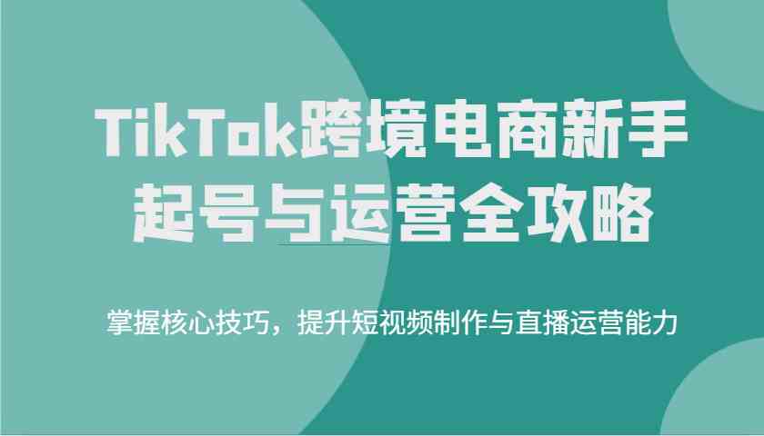 TikTok跨境电商运营与短视频制作全攻略-无双副业