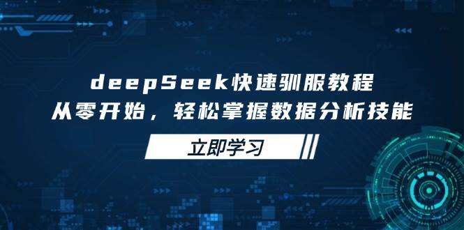 DeepSeek数据分析从入门到精通教程-无双副业