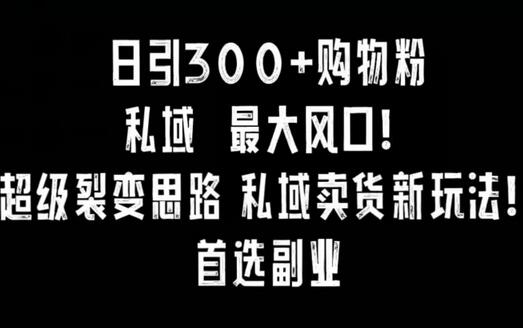小红书私域卖货新玩法，超级裂变思路日引300+购物粉-无双副业