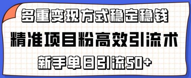 高效引流精准项目粉技巧，新手日引50+实现多重变现-无双副业