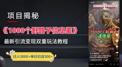 野路子信息差玩法教程：变现与引流实战拆解-无双副业