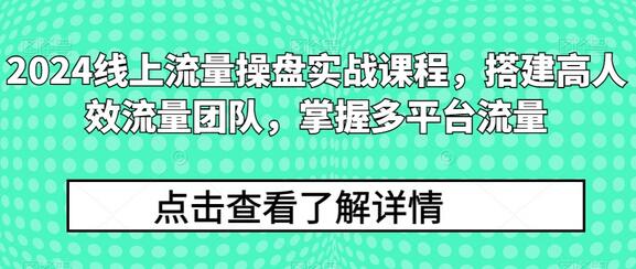 2024线上流量操盘实战课程：搭建高效团队与多平台运营-无双副业