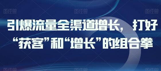 全渠道流量增长策略：获客与增长的双重突破-无双副业