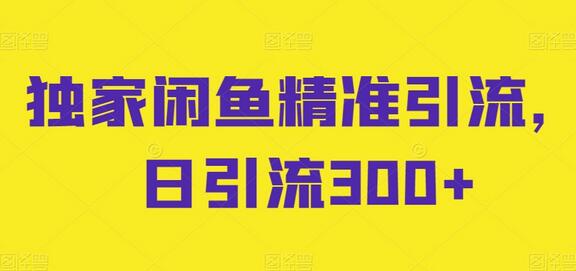 闲鱼精准引流技巧，日引流300+实战指南-无双副业