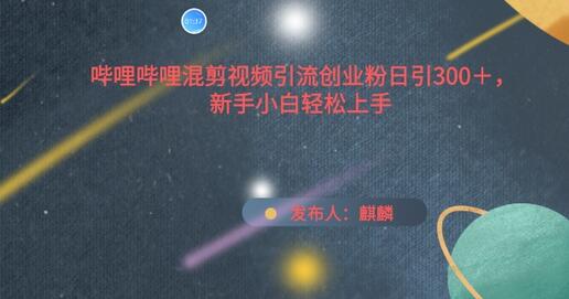 哔哩哔哩混剪视频引流技巧，新手轻松日引300+创业粉-无双副业