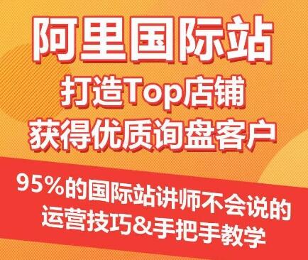 阿里国际站Top店铺运营与优质询盘获取技巧-无双副业