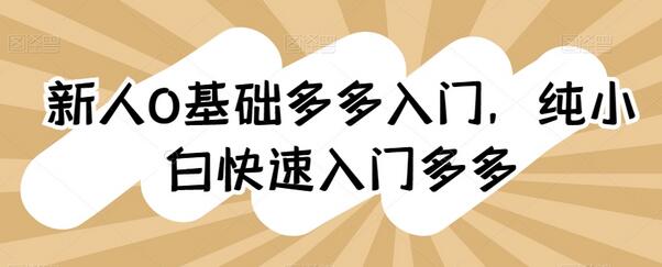 纯小白快速入门拼多多店铺运营指南-无双副业