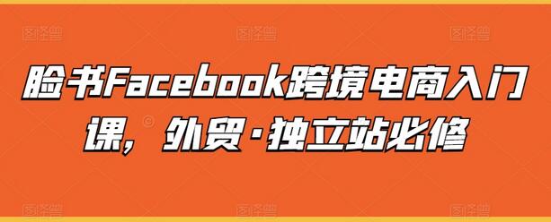 Facebook跨境电商与独立站运营全攻略-无双副业